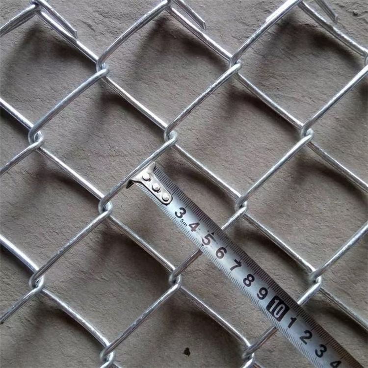 1645695844736948.jpg